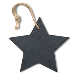 SLATESTAR 1