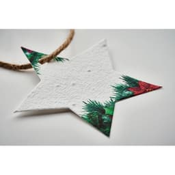 STARSEED 4