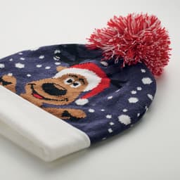 SHIMAS HAT 3