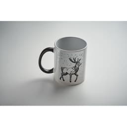 FESTIMUG 4