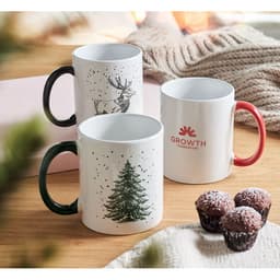 FESTIMUG 14