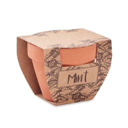 MINT POT 3