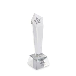 DIAWARD 4