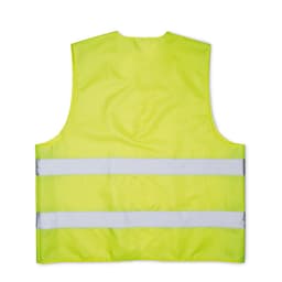 VISICOAT 2