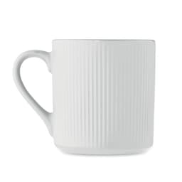 RIBMUG 10