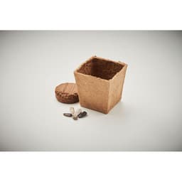 SUNFLOWER KIT 6