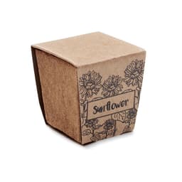 SUNFLOWER KIT 8