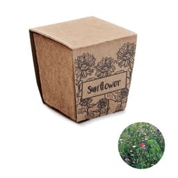 SUNFLOWER KIT 1