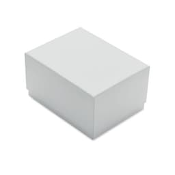 GLASSWARD 6