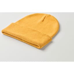 BEANIX 11