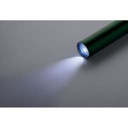 LUME 11
