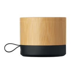 RECAR BAMBOO 2