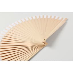 WOODFAN 17