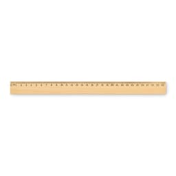 RULER30 1