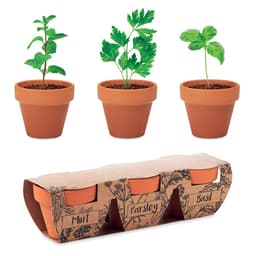FLOWERPOT 1