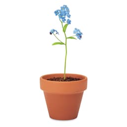FORGET ME NOT 5