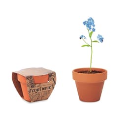 FORGET ME NOT 1