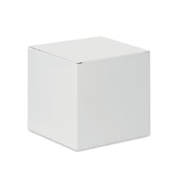 BOX 6
