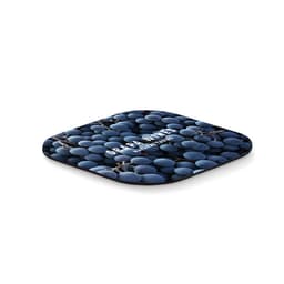 LIENZO 4