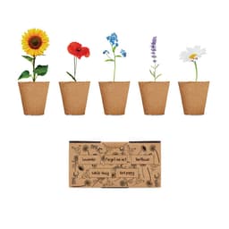 FLOWERS 1