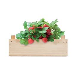 STRAWBERRY 4