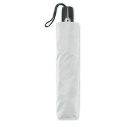 ROCHESTER 30
