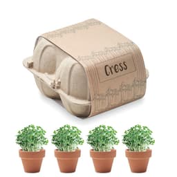 CRESS 1
