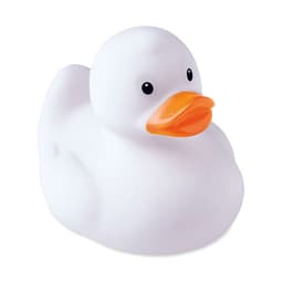 DUCK 6
