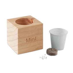 MENTA 2