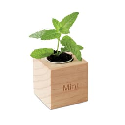 MENTA 3